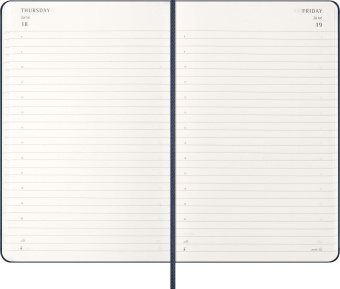 картинка Ежедневник Moleskine Classic 2026, Large (13x21 см), темно-синий от магазина Молескинов