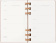 картинка Еженедельник Moleskine Spiral 2026, Large (13x21 см), миндаль от магазина Молескинов