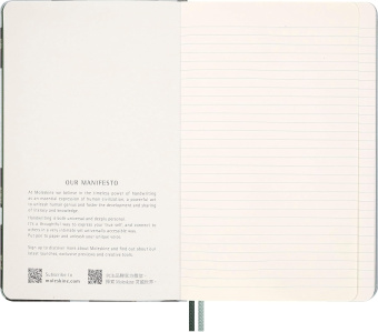 картинка Записная книжка Moleskine Limited Edition Snake Leaves, Large (13 х 21 см), в линейку от магазина Молескинов