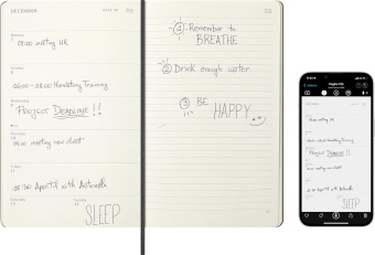 картинка Еженедельник Moleskine Professional Smart (2026) Large (13x21), черный от магазина Молескинов