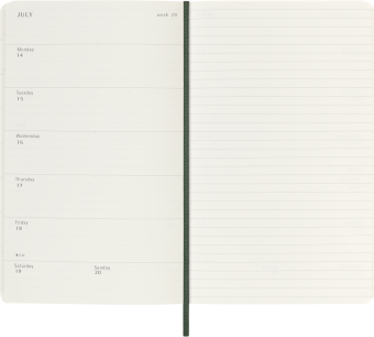 картинка Еженедельник 18 месяцев Moleskine Classic 2025 - 2026, Large (13x21 см), мягкая обложка, зеленый от магазина Молескинов
