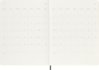 картинка Еженедельник 18 месяцев Moleskine Classic 2025 - 2026, XLarge (19x25 см), мягкая обложка, черный от магазина Молескинов