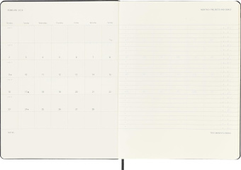 картинка Еженедельник Moleskine Professional 2026 (верт.), XLarge (19x25 см), черный от магазина Молескинов