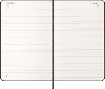 картинка Ежедневник Moleskine Classic 2026, Large (13x21 см), черный от магазина Молескинов