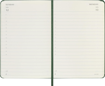 картинка Ежедневник Moleskine Classic 2026, Pocket (9x14 см), зеленый от магазина Молескинов
