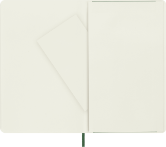 картинка Записная книжка Moleskine Classic (нелинованный), Large (13х21см), мягкая обложка, зеленая от магазина Молескинов