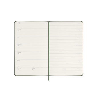 картинка Еженедельник Moleskine Classic 2025, Large (13x21 см), зеленый от магазина Молескинов