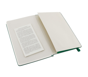 картинка Записная книжка Moleskine Classic (нелинованная), Large (13х21см), зеленая от магазина Молескинов
