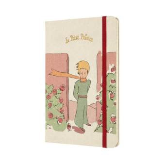 картинка Еженедельник Moleskine Le Petit Prince (2020-2021), Large (13x21), светло-серый от магазина Молескинов