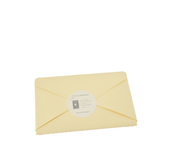 картинка Почтовый набор Moleskine Postal Notebook, Pocket (9х14см), желтый от магазина Молескинов
