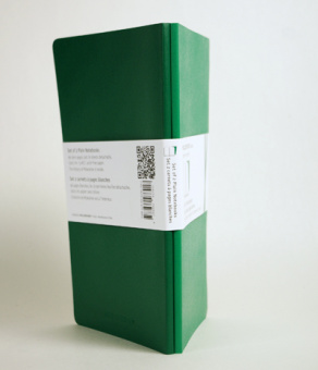 картинка Записная книжка Moleskine Volant (в линейку, 2 шт.), Pocket (9х14см), зеленая от магазина Молескинов