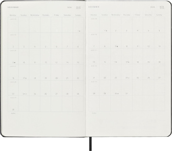 картинка Еженедельник Moleskine Professional Smart (2026) Large (13x21), черный от магазина Молескинов